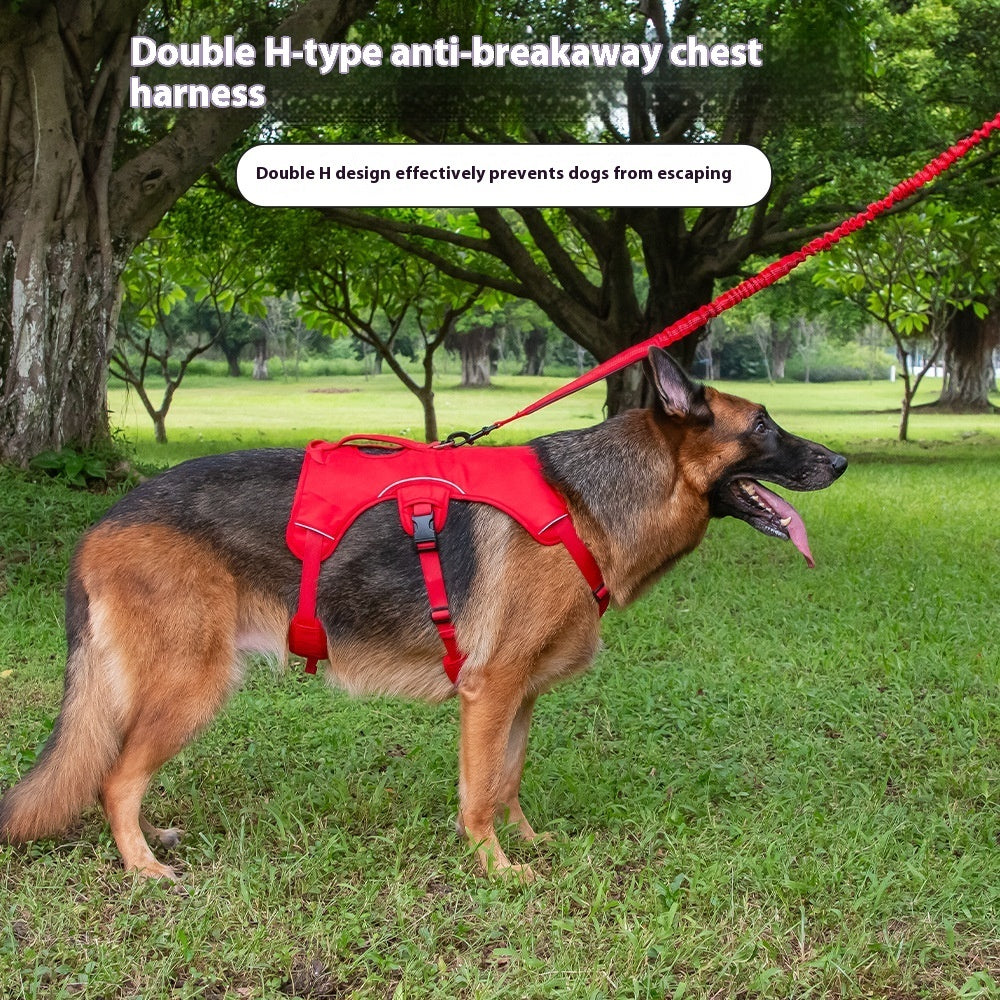 Large dog wearing a double H-type anti-breakaway chest harness in a park.