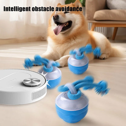 Smart dog boredom toy with touch activation for playful dogs and engaging activity.