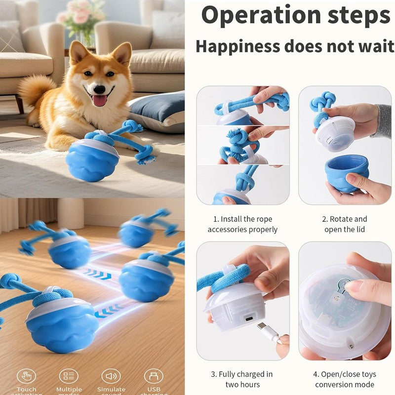 Smart dog boredom toy with interactive features for playful pups, showing usage steps with a dog.
