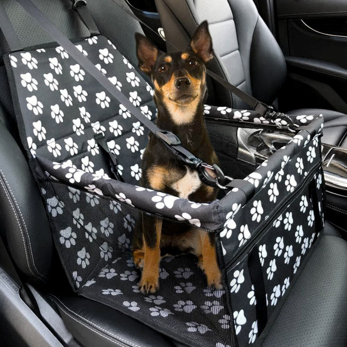 Portable dog car seat for small pets with safety strap and breathable design in a car.