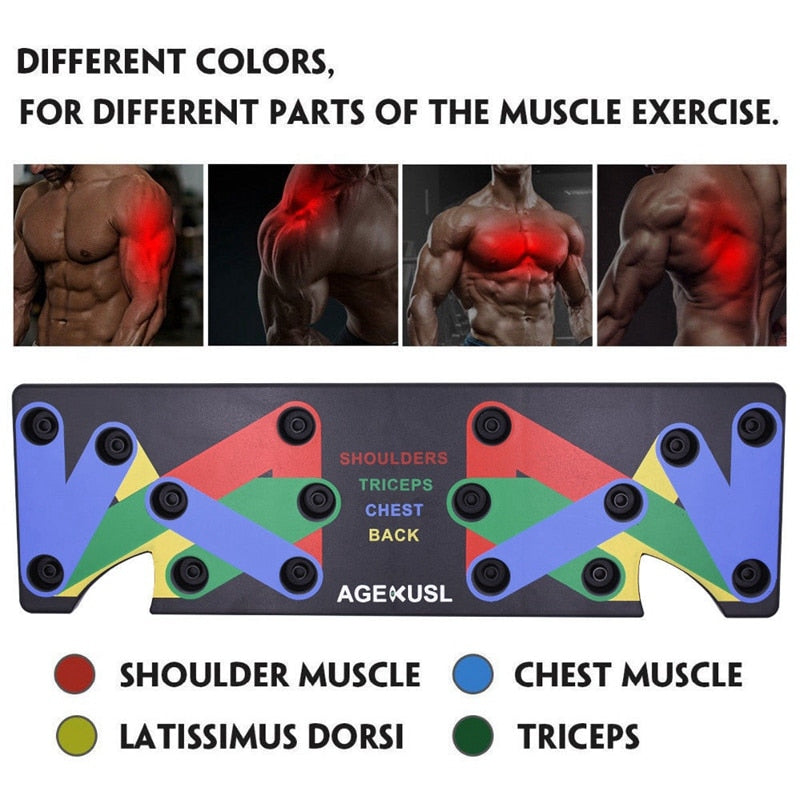 9 in 1 Push up Rack showing different colors for muscle exercises targeting shoulders, triceps, chest, and back.