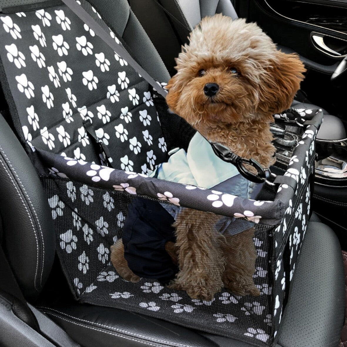 Cute dog in a portable dog car seat for small pets, secured for safe travel in the car.