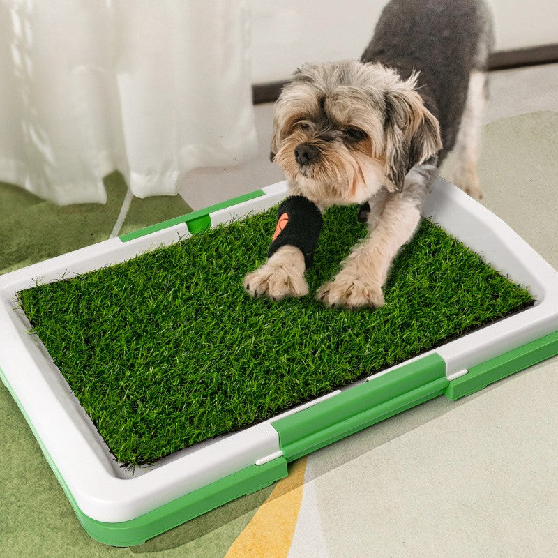 Dog using a splash proof puppy potty pad made of synthetic grass for indoor potty training.