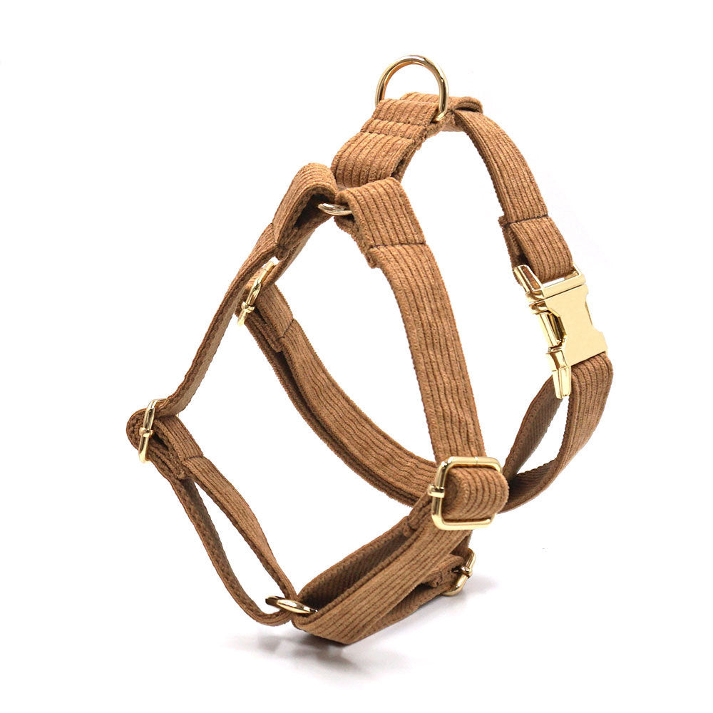 Pet collar and traction rope set featuring a brown corduroy harness with gold buckles.