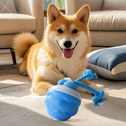 smart dog boredom toy for playful pups featuring a blue ball with ropes and a happy dog at home.