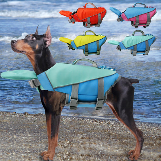 Dog wearing a dog reflective life jacket at the beach, showcasing colorful design and safety features.