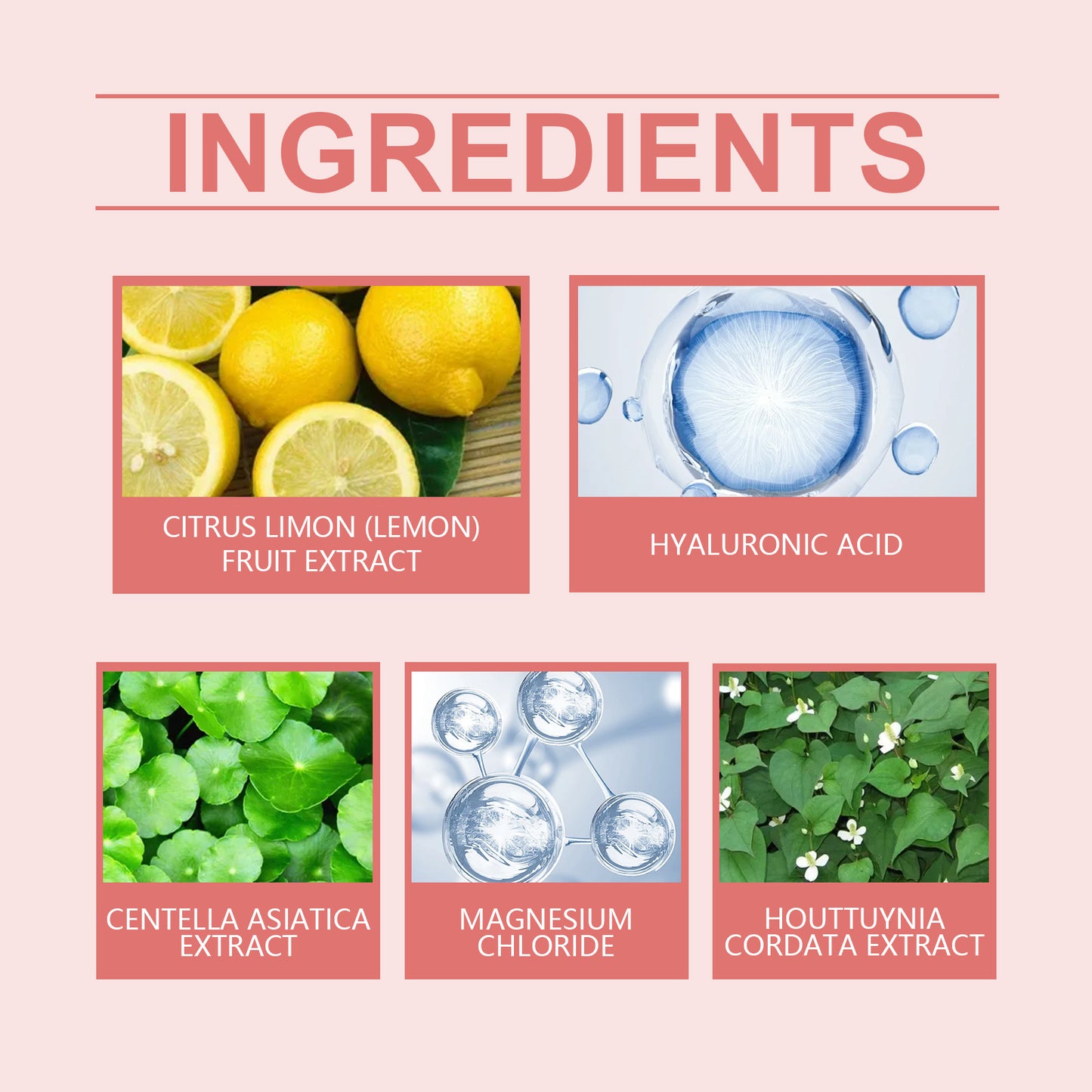 Hoygi Pore Cleansing Cleanser ingredients including magnesium chloride, hyaluronic acid, and plant extracts.